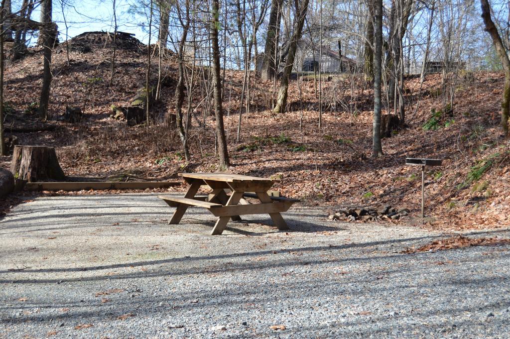 Linville Falls Campground, Rv Park, And Cabins ภายนอก รูปภาพ