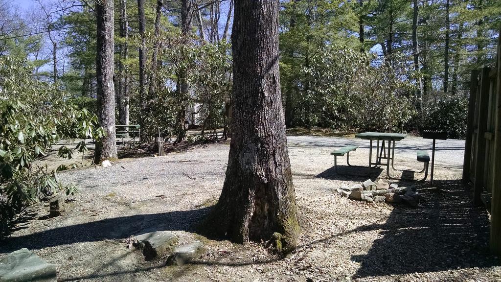 Linville Falls Campground, Rv Park, And Cabins ภายนอก รูปภาพ