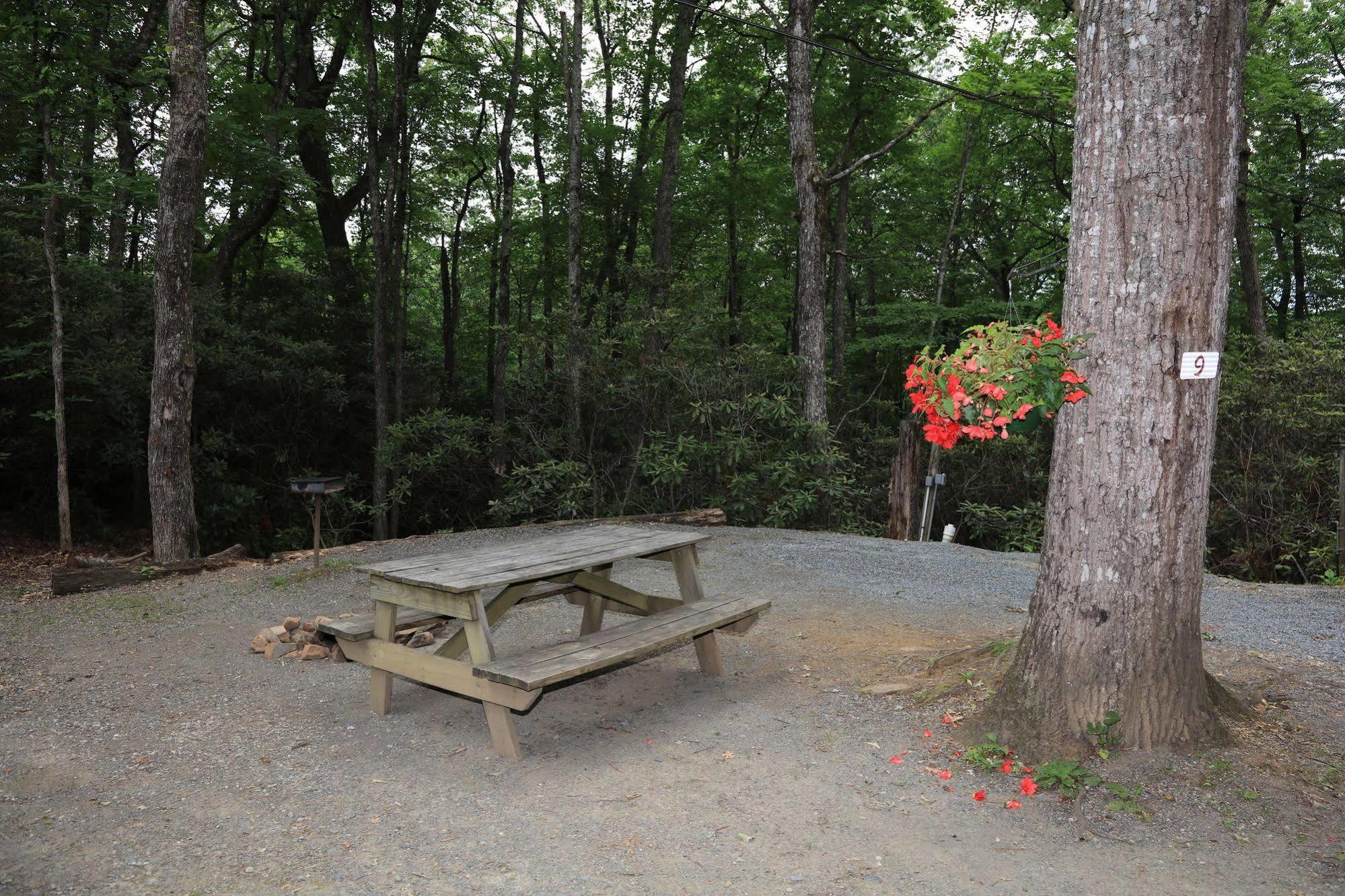 Linville Falls Campground, Rv Park, And Cabins ภายนอก รูปภาพ